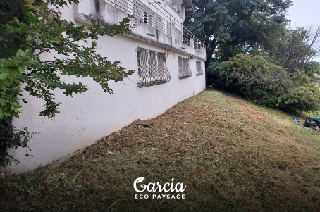 Débroussaillage à l'arrière d'une maison : ronces, hautes herbes, évacuation des déchets verts...
