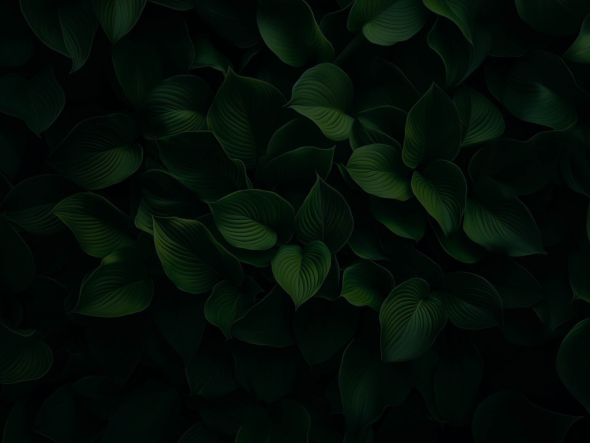 GARCIA ECO PAYSAGE est une entreprise spécialisée dans l’entretien des parcs et jardins : tonte pelouse, taille de haies, débroussaillage, désherbage, jardinage, collecte/recyclage déchets verts