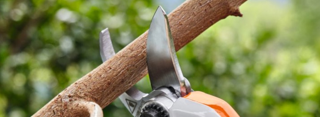 GARCIA ECO PAYSAGE est une entreprise spécialisée dans l’entretien des parcs et jardins : tonte pelouse, taille de haies, débroussaillage, désherbage, jardinage, collecte/recyclage déchets verts